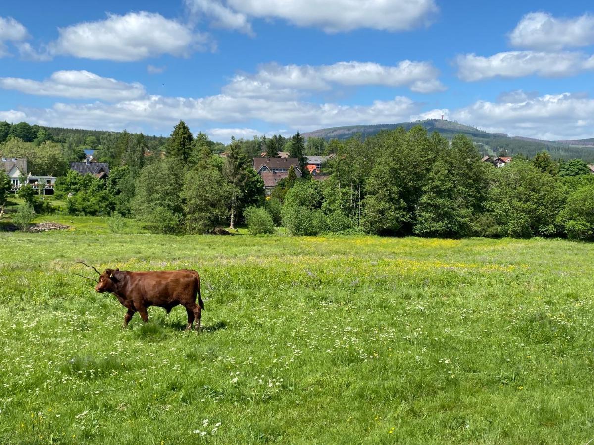 Berglage - Das Urlaubzuhause Braunlage Kültér fotó